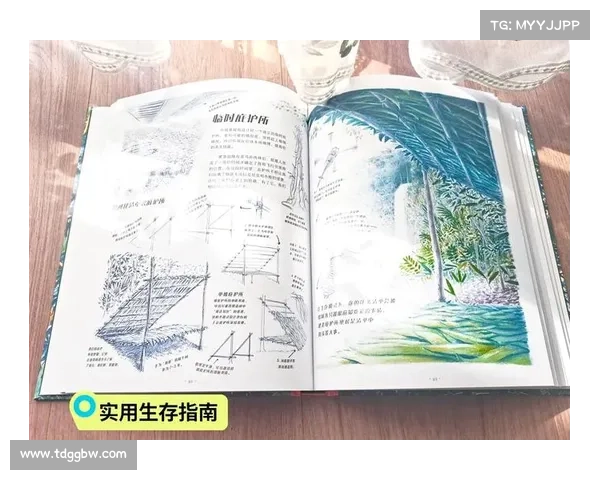 创意网站探索指南:走进无意义奇观的奇妙世界 创意网站探索指南:走进无意义奇观的奇妙世界